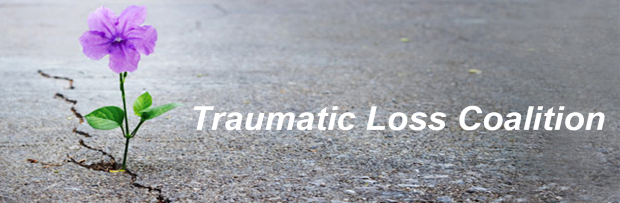 Traumatic Loss Coalition logo - Image of purple flower sprouting from a crack in the ground